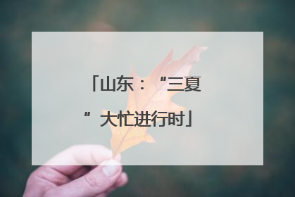 山东：“三夏”大忙进行时