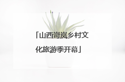 山西岢岚乡村文化旅游季开幕