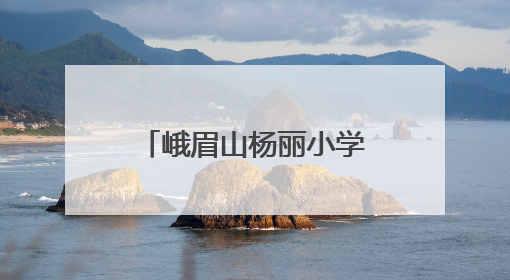 峨眉山杨丽小学语文工作室与刘春梅学前工作室开展联合教研活动