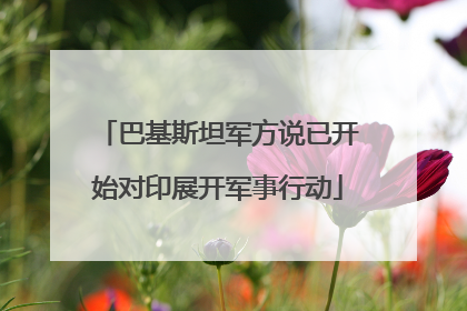 巴基斯坦军方说已开始对印展开军事行动