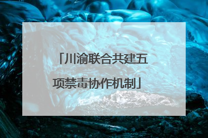 川渝联合共建五项禁毒协作机制