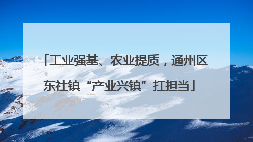 工业强基、农业提质，通州区东社镇“产业兴镇”扛担当