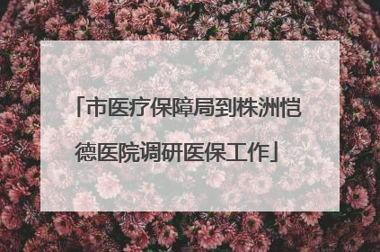 市医疗保障局到株洲恺德医院调研医保工作