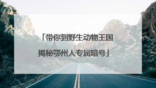 带你到野生动物王国揭秘鄂州人专属暗号