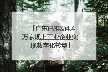 广东已推动4.4万家规上工业企业实现数字化转型
