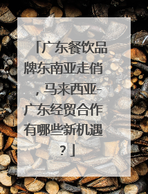 广东餐饮品牌东南亚走俏，马来西亚-广东经贸合作有哪些新机遇？