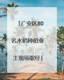 广安区80名水稻种植业主现场取经