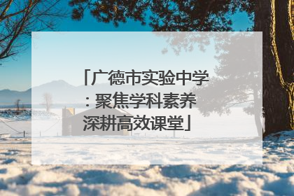 广德市实验中学：聚焦学科素养 深耕高效课堂