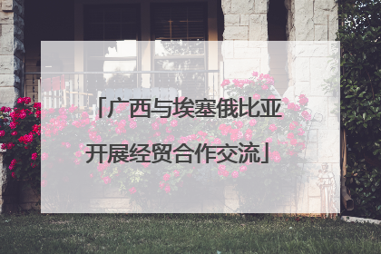 广西与埃塞俄比亚开展经贸合作交流