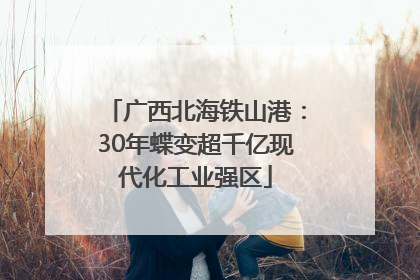 广西北海铁山港：30年蝶变超千亿现代化工业强区