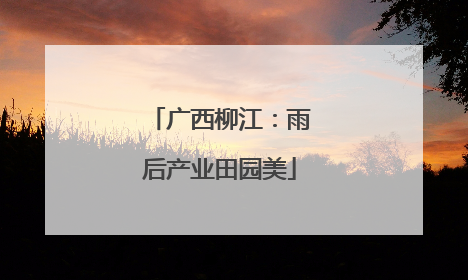 广西柳江：雨后产业田园美