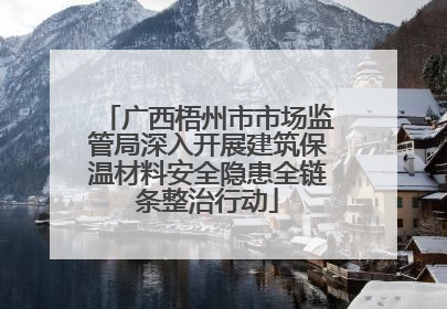 广西梧州市市场监管局深入开展建筑保温材料安全隐患全链条整治行动