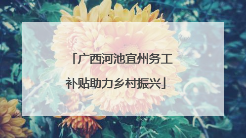 广西河池宜州务工补贴助力乡村振兴