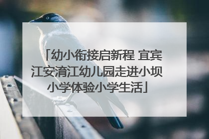 幼小衔接启新程 宜宾江安淯江幼儿园走进小坝小学体验小学生活
