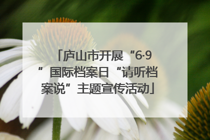 庐山市开展“6·9”国际档案日“请听档案说”主题宣传活动