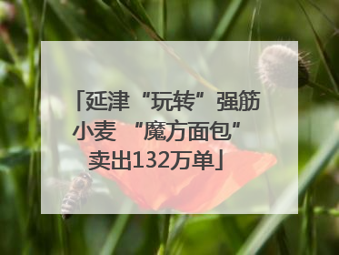 延津“玩转”强筋小麦 “魔方面包”卖出132万单