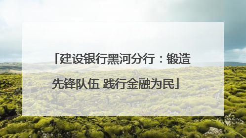 建设银行黑河分行：锻造先锋队伍 践行金融为民