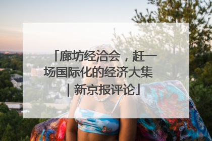 廊坊经洽会，赶一场国际化的经济大集｜新京报评论