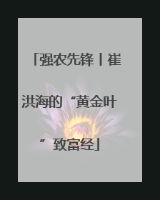 强农先锋丨崔洪海的“黄金叶”致富经