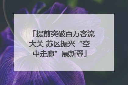 提前突破百万客流大关 苏区振兴“空中走廊”展新翼