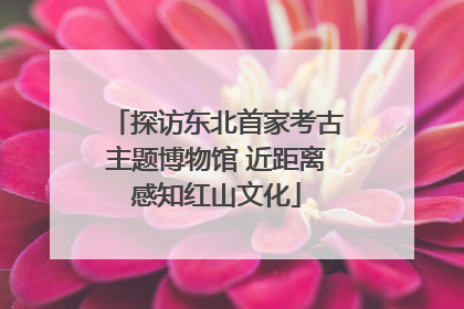 探访东北首家考古主题博物馆 近距离感知红山文化