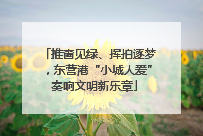 推窗见绿、挥拍逐梦，东营港“小城大爱”奏响文明新乐章