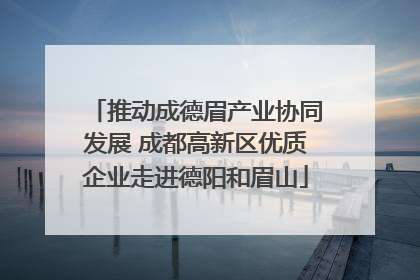 推动成德眉产业协同发展 成都高新区优质企业走进德阳和眉山