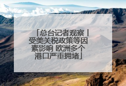 总台记者观察丨受美关税政策等因素影响 欧洲多个港口严重拥堵