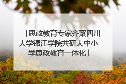 思政教育专家齐聚四川大学锦江学院共研大中小学思政教育一体化