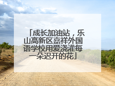 成长加油站，乐山高新区嘉祥外国语学校用爱浇灌每一朵迟开的花