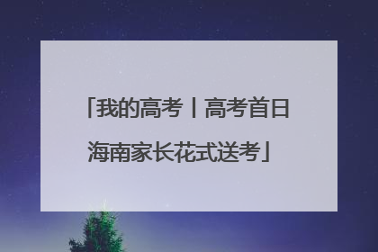 我的高考丨高考首日 海南家长花式送考