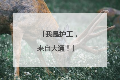 我是护工，来自大通！