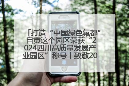 打造“中国绿色氟都” 自贡这个园区荣获“2024四川高质量发展产业园区”称号丨致敬2024经济影响力人物
