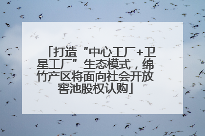 打造“中心工厂+卫星工厂”生态模式，绵竹产区将面向社会开放窖池股权认购