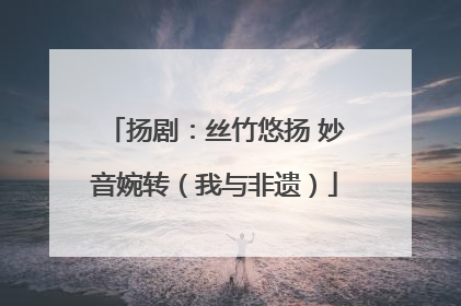 扬剧：丝竹悠扬 妙音婉转（我与非遗）