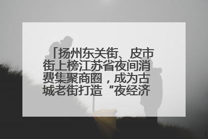 扬州东关街、皮市街上榜江苏省夜间消费集聚商圈，成为古城老街打造“夜经济”的样本