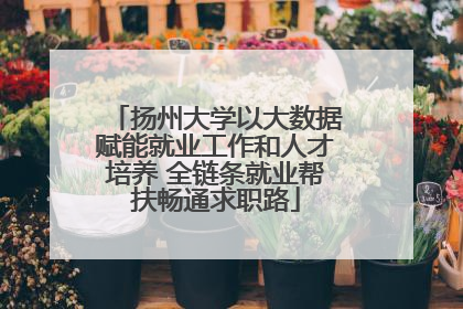扬州大学以大数据赋能就业工作和人才培养 全链条就业帮扶畅通求职路