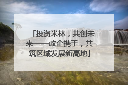 投资米林，共创未来——政企携手，共筑区域发展新高地