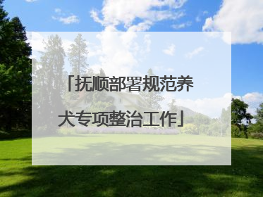 抚顺部署规范养犬专项整治工作