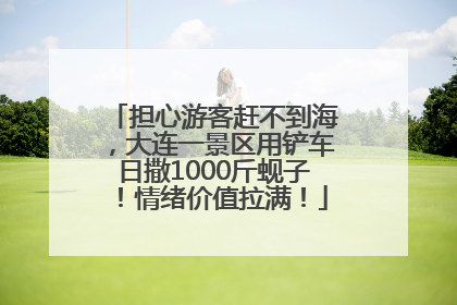 担心游客赶不到海，大连一景区用铲车日撒1000斤蚬子！情绪价值拉满！