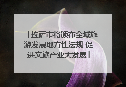 拉萨市将颁布全域旅游发展地方性法规 促进文旅产业大发展