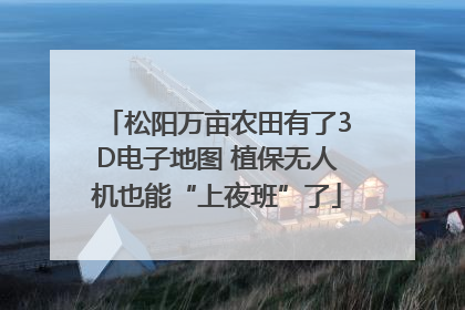 松阳万亩农田有了3D电子地图 植保无人机也能“上夜班”了
