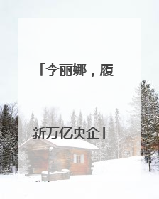 李丽娜，履新万亿央企