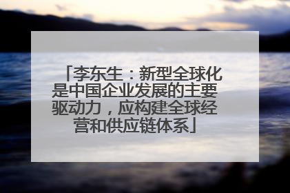 李东生：新型全球化是中国企业发展的主要驱动力，应构建全球经营和供应链体系
