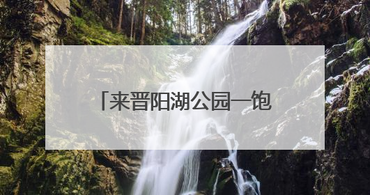来晋阳湖公园一饱眼福吧！12万株百合花热烈绽放……