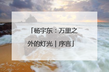 杨宇东：万里之外的灯光｜序言