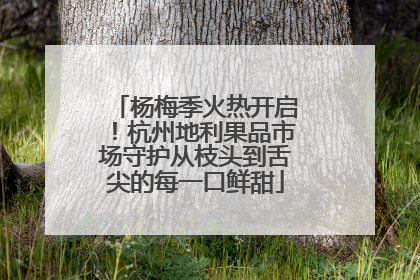 杨梅季火热开启！杭州地利果品市场守护从枝头到舌尖的每一口鲜甜
