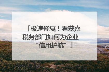 极速修复！看获嘉税务部门如何为企业“信用护航”