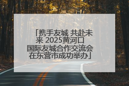 携手友城 共赴未来 2025黄河口国际友城合作交流会在东营市成功举办