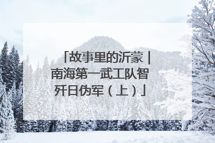 故事里的沂蒙｜南海第一武工队智歼日伪军（上）
